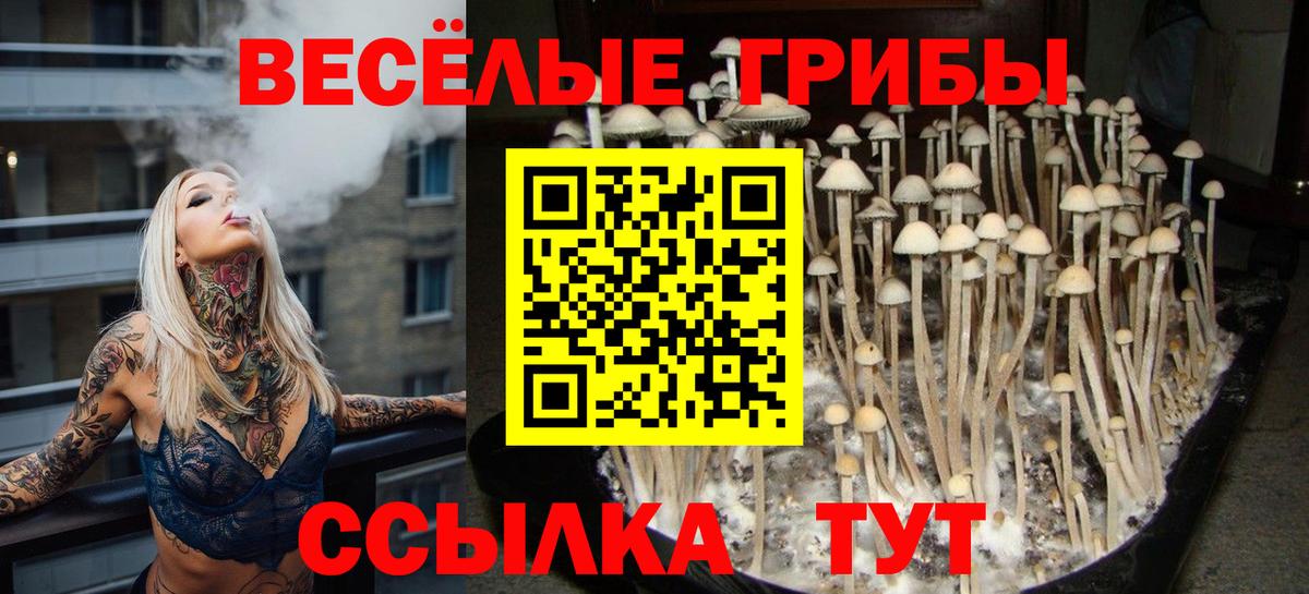 Курганинск  Псилоцибиновые грибы Cubensis  Вход с VPN 